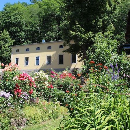 Ferienwohnung Goldgrund Meißen Eksteriør bilde
