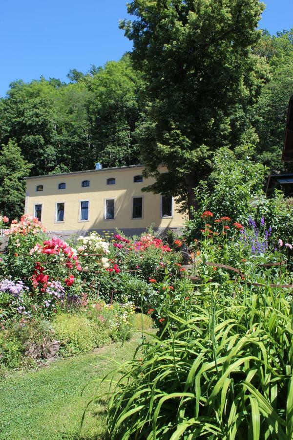 Ferienwohnung Goldgrund Meißen Eksteriør bilde